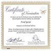 Certificate of Nomination - Pesidential Task Force
