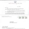 The Presidential Dinner 2004
